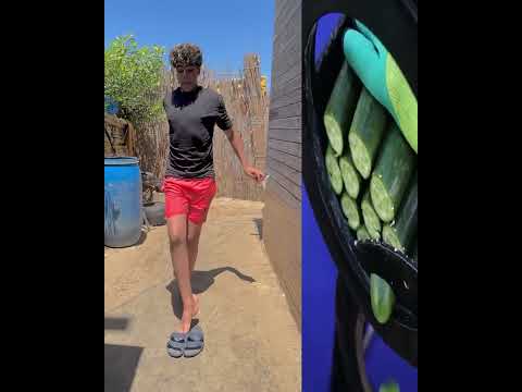 عملت مقلب فى ابويا
