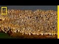 Life on Earth: A Journey Through Time