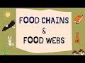 Exploring Food Chains and Webs in Ecosystems