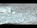 Glacier Calving Events and Impacts