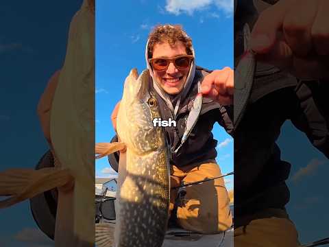 Every Catch = Bigger Lure ๐๐ฃ