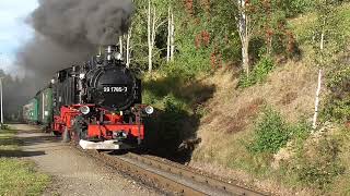 Der Haltepunkt Unterneudorf wird am 26.9.2026 von 99 1785 der Fichtelbergbahn mit P 2009 erreicht