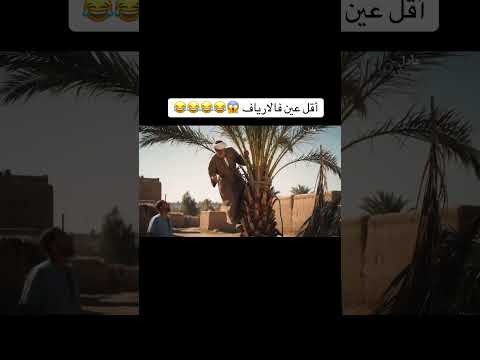 اقل عين فالارياف دي #مصر #اكسبلور #فيها_حاجة_حلوة_مع_نور  #ترند #ضحك #مصر  #ضحكة #like #تيك_توك