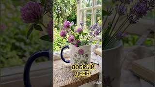 ВСЕХ-ВСЕХ С ДОБРЫМ ДНЁМ!