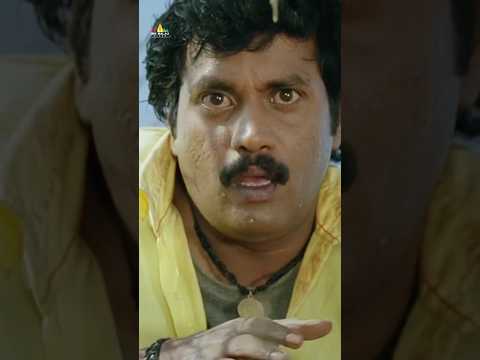 సునీల్ పై దాడి చేసిన నాగినీడు మనుషులు | #MaryadaRamanna | #Sunil | #Nagineedu | #Shorts