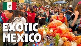 I Can't Believe It's Mexico 🇲🇽