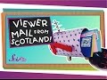 Animal Questions and More!