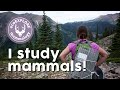 Mammals and Ecosystem Interactions