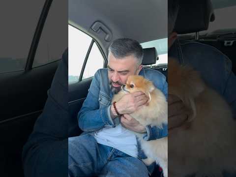 Безусловная любовь только у них .