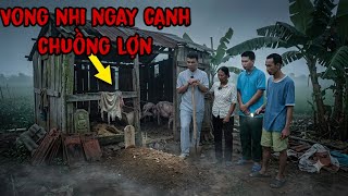 Vong Đứa Trẻ Bị Nằm Gần Chuồng Lợn Khiến Bà Lão Gặp Nhiều Tai Ương, Các Thầy Pháp Sư Đã Đến Nhưng...