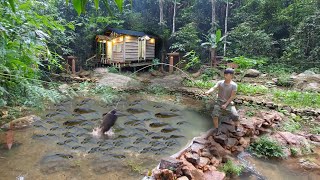 400 Days of living in the forest, Gardening, Harvesting carp, Making wild boar and smoking carp