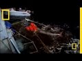 Shark Research and Tagging Process