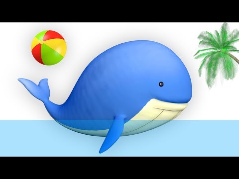 Sea animals cartoon