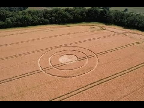 El fenómeno de los círculos en los cultivos de 2023: Un encuentro etéreo en Hetty Pegler’s Tump Long Barrow