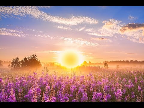 GOOD MORNING MUSIC &#128150; 528Hz Positive Energy ➤ Soothing Beautiful Deep Morning Boost Meditation Music