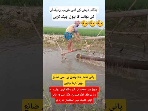 Bangladesh ka Poor Farmer Ka Best Tarika Pani Ko Zaya Honay Say Bachana