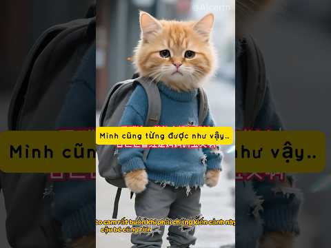 ❤️Mèo cam gặp lại mẹ.. #viralshort #meow #catshorts #aicartn