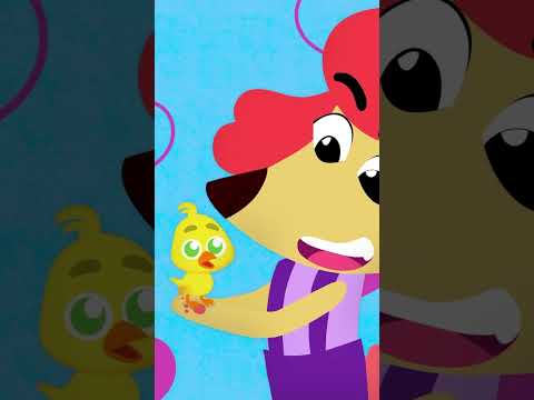 O pintinho amarelinho mais fofinho do YouTube! 🐤💛🎶 #shorts #infantil