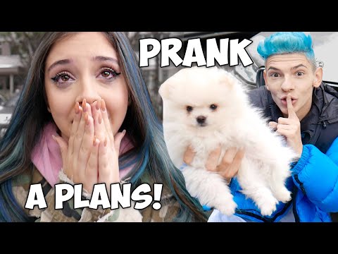 L-AM PIERDUT PE HONEY *prank iubitei mele* (a început să plângă)