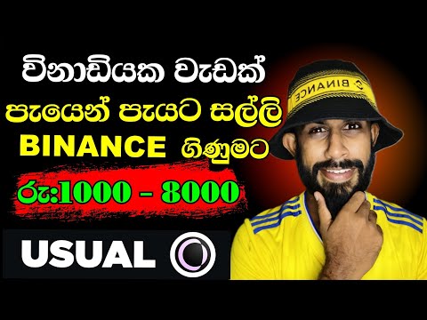 How To Earn Money Binance Launchpool | Usual Coin | Best Online Jobs | Emoney Sinhala