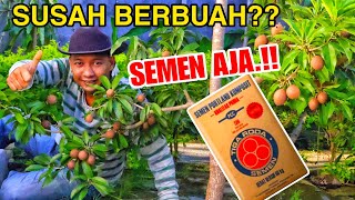 SEMEN Sebagai Pemicu/Pelebat Buah..!! Tips Organik Wajib Tau
