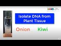 DNA Isolation Process Techniques