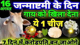 16 अगस्त कृष्ण जन्माष्टमी के दिन गाय को खिला दें 1 ये चीज 1 महीने में करोड़पति 😱 बन जाओगेJanmashtami