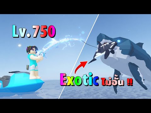 ผมใช้เบ็ดเลเวล 750 !! ตกปลา Exotic แบบไม่อั้น : Roblox Fisch