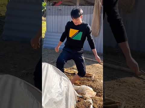 আমাকে প্লাস্টিকের নিচে ঢাকা দিয়ে চলে গিয়েছিল দাদা, তারপর আবার খুলে দিল #plastic
