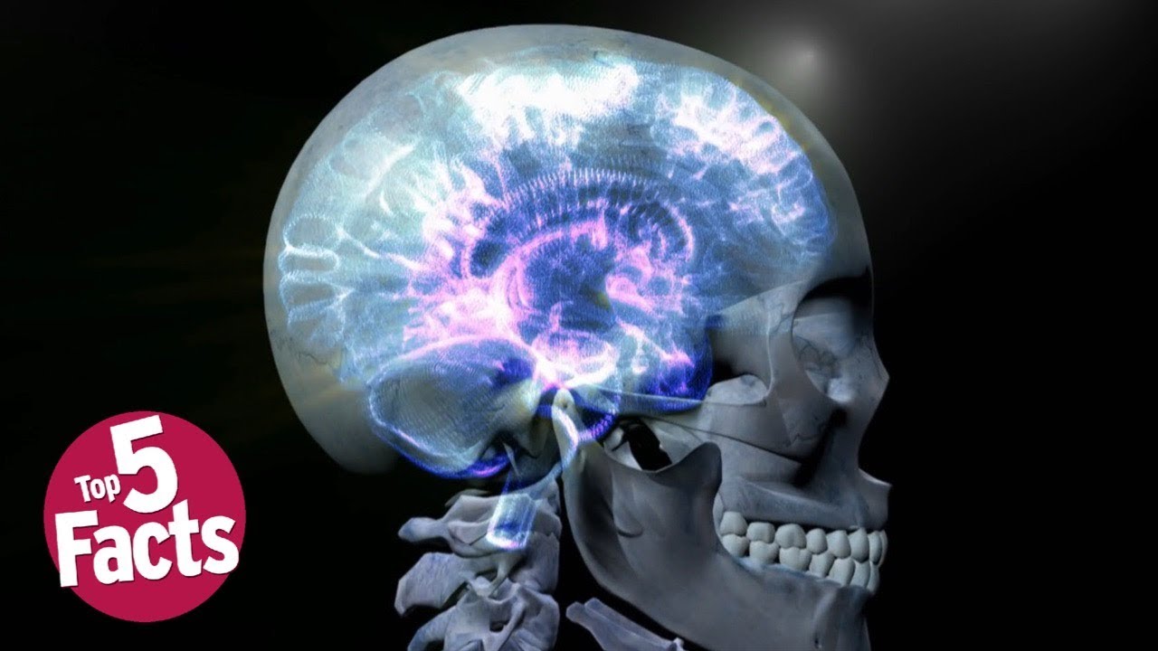 Top 5 Things You Should Know About Epilepsy