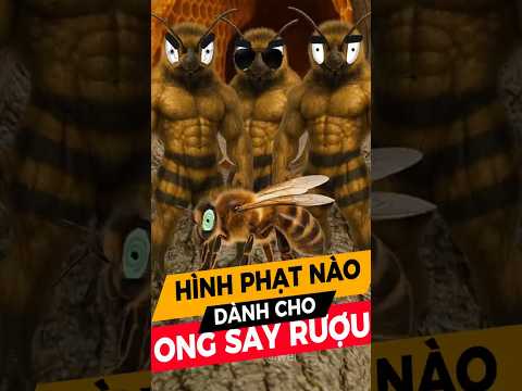 Hình phạt nào dành cho "Ong Say Rượu" ?