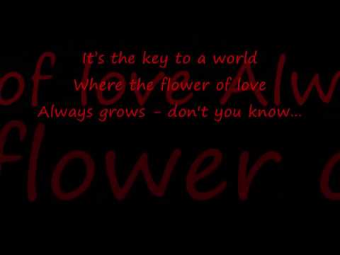 Music is the Key Sarah Connor with Lyrics