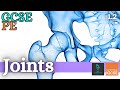 Exploring Joint Types in Anatomy and Physiology