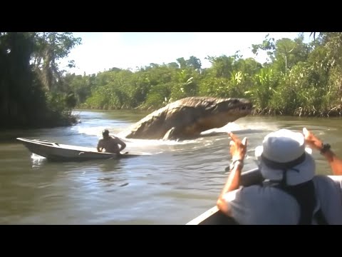 Pescadores capturaron al monstruo más letal del Amazonas