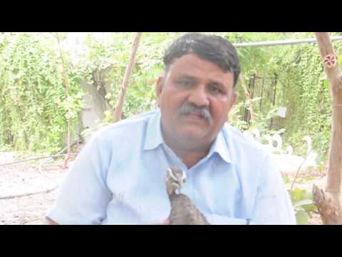 Padmashri Dr Shyam Sundar Paliwal (Piplantri) Saying About SP Seva Sansthan