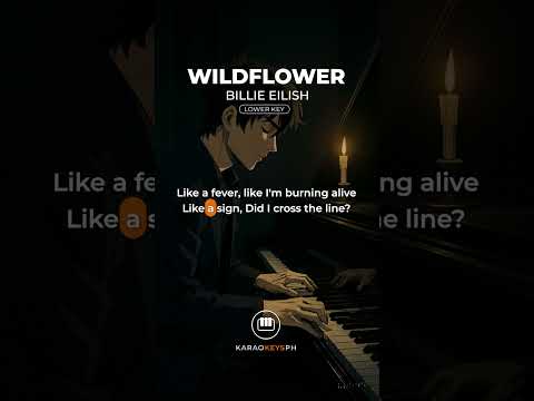Wildflower – Billie Eilish (Lower Key | Chorus)
