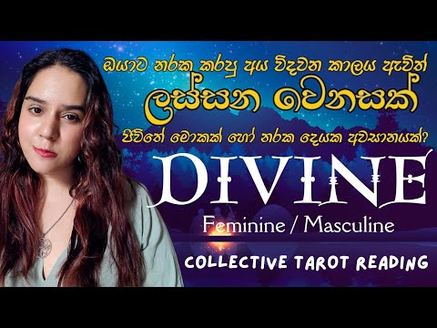 ඔබගේ ජීවිතයේ ඊලග පරිච්ඡේදය🔥100% නිවැරදි Divine Feminine /Masculine Collective Tarot Reading Sinhala