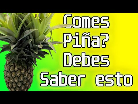 Despues de saber esto no paro de consumir piña!!