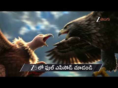 Nindu Noorella Saavasam | Ep - 800 | Preview | Jan 31 2026 | Zee Telugu