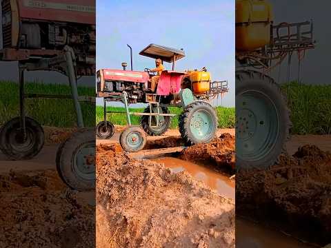 Máy cày Massey Ferguson 385 độ gầm cao Chạy qua mương quá nguy hiểm #shorts #shortvideo #youtube