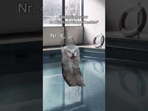 7 Arten von Schülern..? (Im Schwimmunterricht 2) #katzenvideos #katzen #shorts #schüler #schwimmen