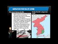 The Role of Indonesia in the Non-Aligned Movement during the Cold War
