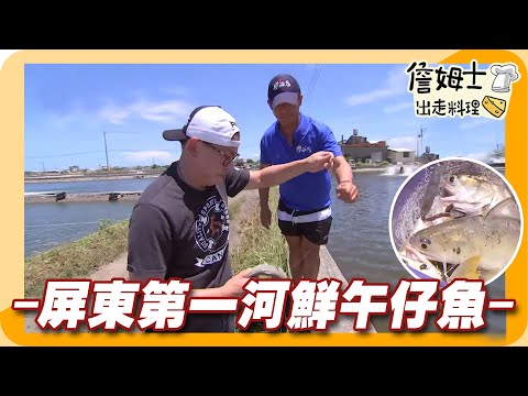 《姆士廚房》屏東第一河鮮午仔魚 海味港口茶鹹香回甘私房料理