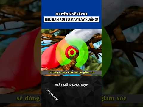 CHUYỆN GÌ SẼ XẢY RA NẾU BẠN RƠI TỪ MÁY BAY XUỐNG? #khamphathuvi #khoahoc #khampha #kienthuc