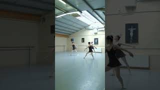Daily Dedication at Brussels International Ballet  #ballet #dance #classicalmusic #dancer