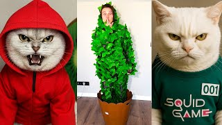 CRAZY CAT VS TREE MAN PRANK 😂🌲