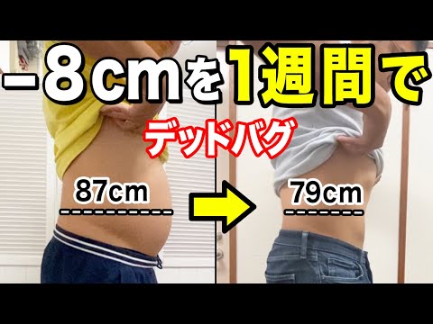 【デッドバグぽっこりお腹痩せるダイエット】デッドバグぽっこりお腹ダイエットで痩せる！ウエストを細くする方法&ストレッチ&腹筋トレーニング【下腹部痩せる】