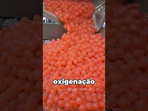 Como é a reprodução artificial do salmão? 🍣 #curiosidades #fatoscuriosos #shorts