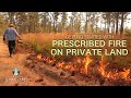 Benefits and Considerations of Prescribed Burning