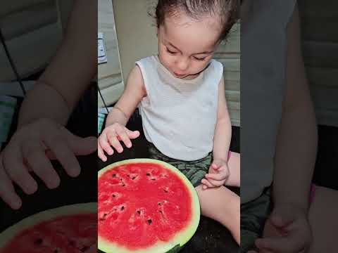 كوكى مستنتش البطيخة تتقطع🤣🤣 #funny #كامري #محركات #اكسبلور